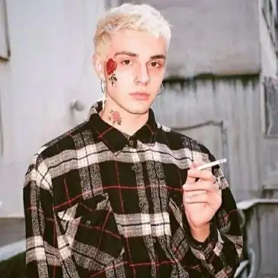 6686体育官网初级作者Vega