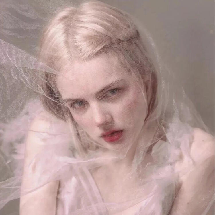 6686体育官网高级作者Cordelia