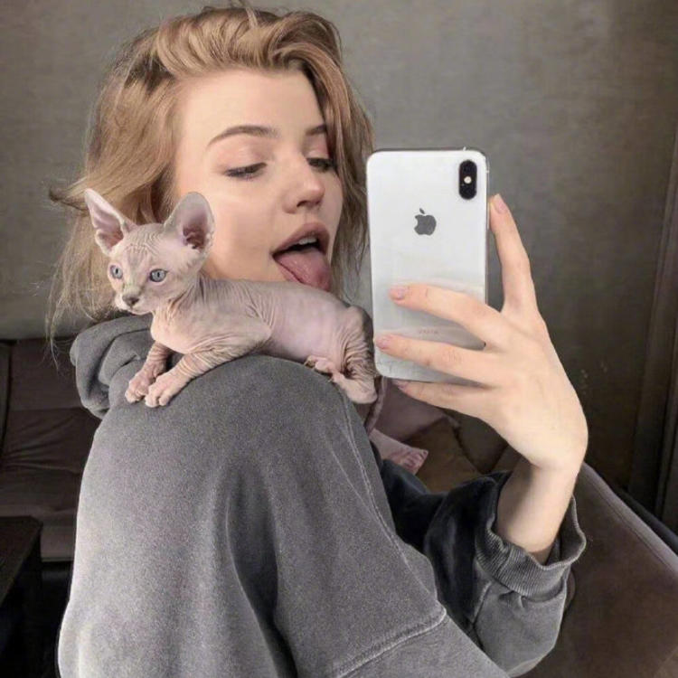 6686体育官网铁牌作者Evan