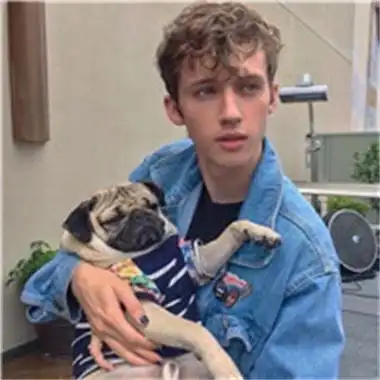 6686体育官网银牌作者十里温柔