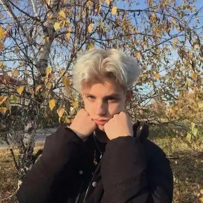 6686体育官网银牌作者Harvey