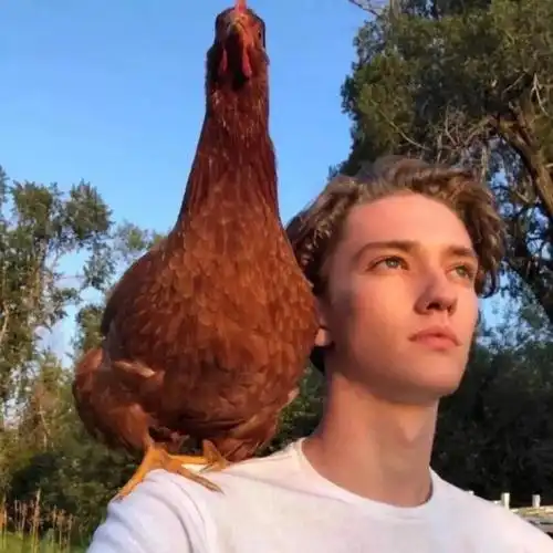 6686体育官网签约作者Octavia