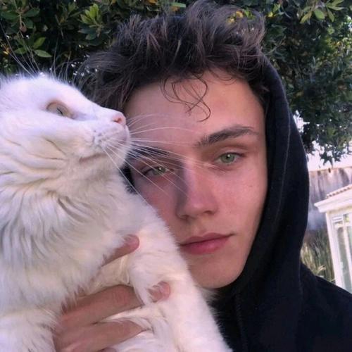 6686体育官网海外作者执傲